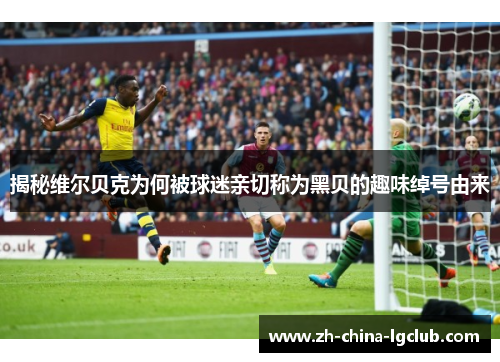 揭秘维尔贝克为何被球迷亲切称为黑贝的趣味绰号由来 揭秘维尔贝克为何被球迷亲切称为黑贝的趣味绰号由来