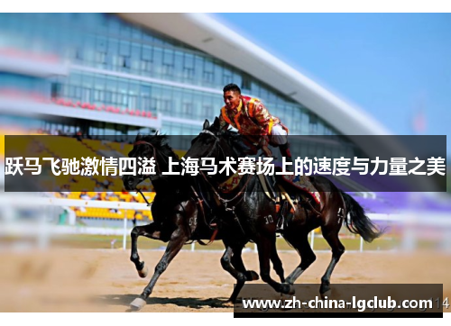 跃马飞驰激情四溢 上海马术赛场上的速度与力量之美
