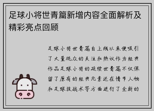 足球小将世青篇新增内容全面解析及精彩亮点回顾